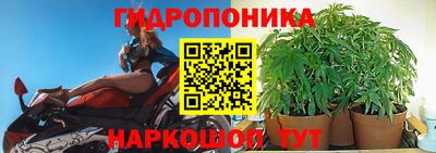 хмурый Донской